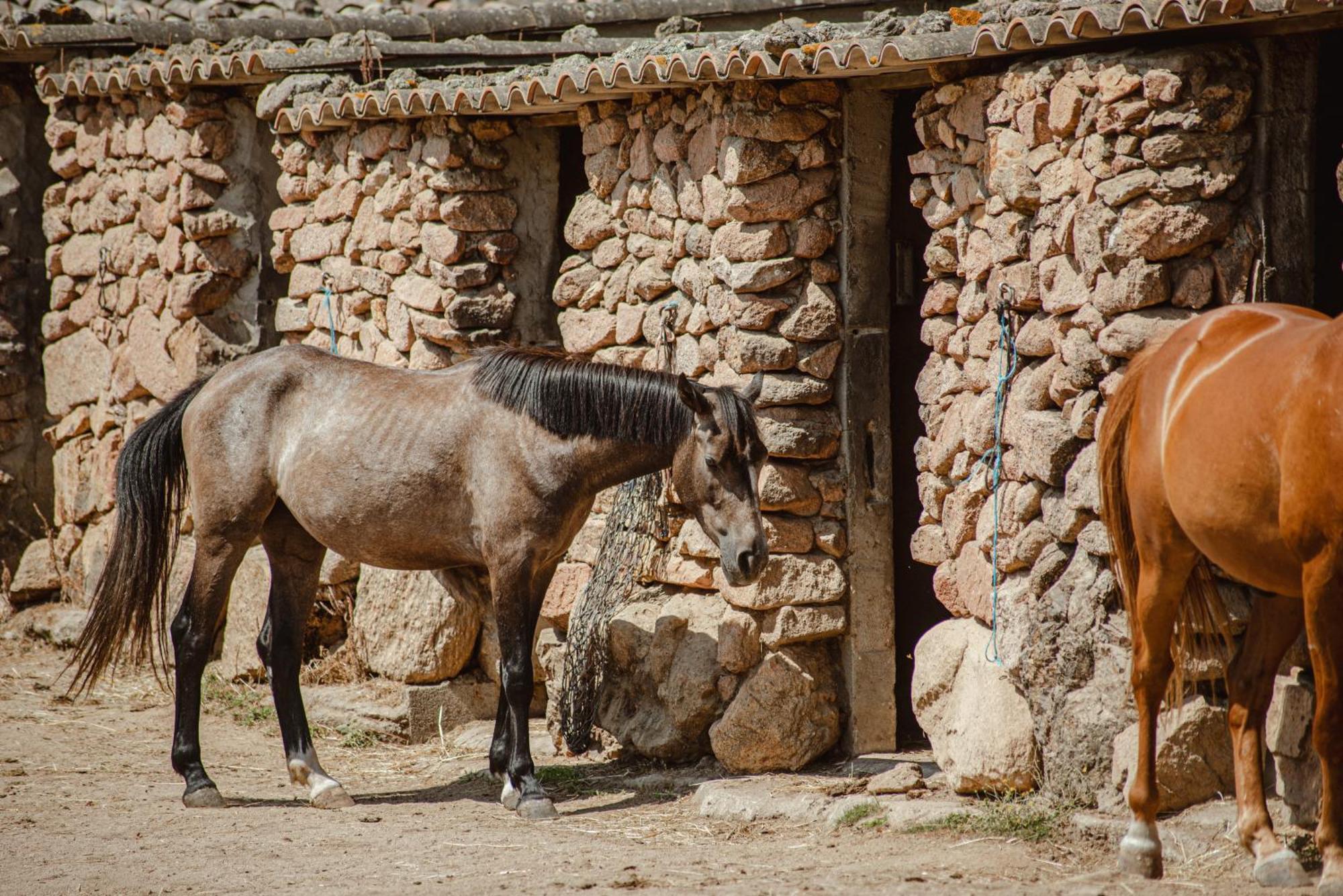 Hotel Ranch Campo Palombaggia Porto-Vecchio (Corsica)